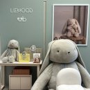 충청어린이집 | 리우드 현대백화점 충청점 팝업 후기ㅣ앓다 죽을 공룡 이유식 용기 겟!