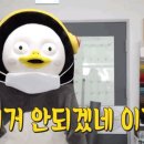 복땡이 이미지