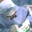 서울플란트원치과의원 이미지