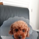 다운약국 이미지