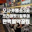 오사카 도톤보리강 크루즈 포함 1일 프라이빗 투어 후기와 할인 꿀팁