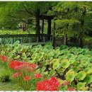 쉼펜션민박 이미지