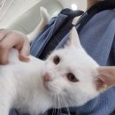 뽑고놀고 | 잔뜩 놀고 여행간 10월 일상 리뷰한다