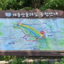 계룡산임도삼거리(입구) 이미지