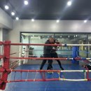 CHAN 복싱클럽 이미지