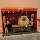 아따멍멍 이미지