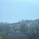 19 | 남원 1박2일 커플 여행 코스 | 봄에 다녀온 솔직 후기