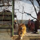 달달한 인생 이미지