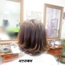 사브라헤어