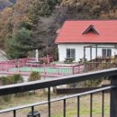 엘페로2 이미지