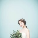 더퀸H