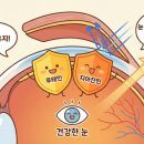 맘꽃약국 이미지