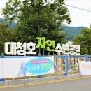 대청호 자연수변공원 이미지