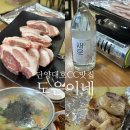 경마류