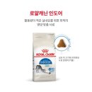 그루밍솔루션 개봉점 | 실내묘 로얄캐닌 인도어 10kg 사료, 5가지 급여 팁 알아볼까요?