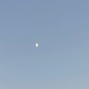 아라고나이트고온천 이미지