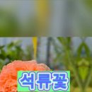 남도수목관리