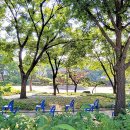 탑골공원 이미지