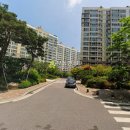 중앙동151 이미지