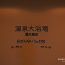 미즈당구장 | 일본 골프 여행지 고민, 부모님 효도 관광 vs 은퇴 골퍼 자유 원정 선택 기준