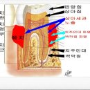 청라리더스치과 이미지