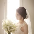 에버스토리 이미지