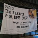 가만히 있으면 안 더운데 빨빨거리는 [8월일기]