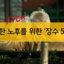 장수-5 이미지