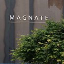 메그네이트 | 부산 bts 지민 카페 대연동 카페 메그네이트 magnate 방문후기