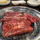 심석진의 황소야 이미지