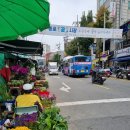 동대문 종로 꽃시장 장점과 단점