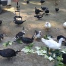 동녁골 농장 이미지