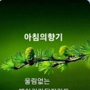 시티크럽 네이버블로그