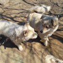 섬진강농장 이미지