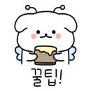 불로손칼국수 이미지