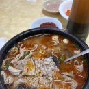 올라알파카 카페 | 남자 셋 춘천&amp;홍천 여행 1박 2일차 알파카와 바베큐 파티