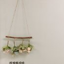 아이조아아동발달센터