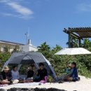 백조민박 이미지