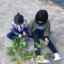 공원복권 이미지