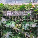 아이에떼커피 세종보람점 | 국립세종수목원 카카오프렌즈 특별전시 후기｜아이와 가볼만한 곳 + 아이에떼온실카페 바닐라라떼 리뷰