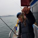 반도낚시점