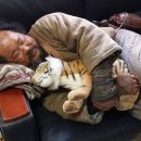대호 이미지