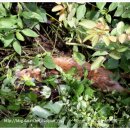 안한농장 이미지