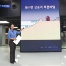 "기후변화 이대로면 10년 뒤 해운대, 인천공항 잠긴다" (jtbc) l 전 세계 클린월드운동을 펼치는 위러브유 장길자 회장님 이미지