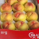 금성산농장 네이버블로그