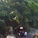 삼봉통나무펜션 이미지