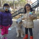 하늘빛으로 물든새 이미지