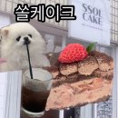 쏠케이크(SSOLCAKE) | [대구 범어동] 수성구청역 근처 애견동반 카페 '쏠케이크(SSOL CAKE)' : 케이크가 맛있는 힐링 스팟 🐾