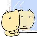 릴띵스