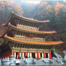 ▣소백산:- 구인사절 방문=[부처님 오신날특집] &amp; 화려한 가을단풍 이미지
